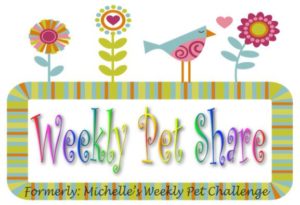 Weekly Pet Share