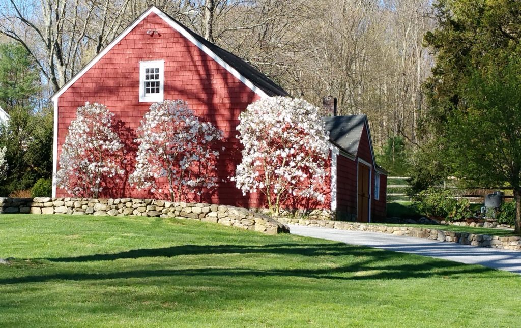 Red Barn in Spring