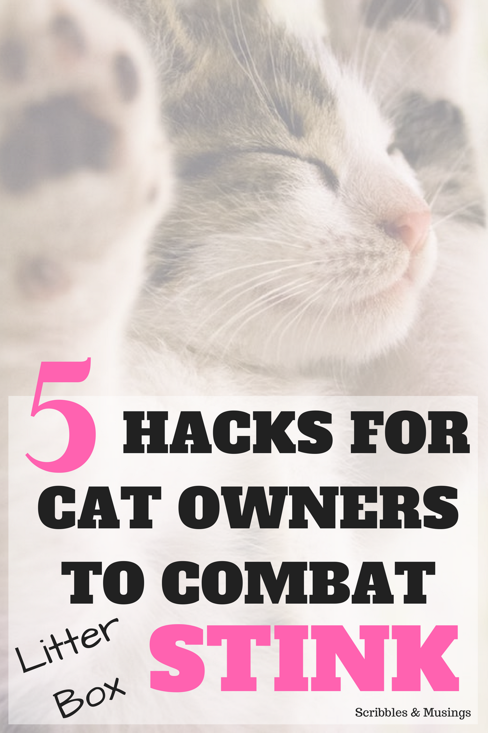 5 Litter Box Hacks - Scribbles & Musings - Do you struggle to keep your litter box smelling fresh and clean? Check out these 5 hacks for combating litter box stink.